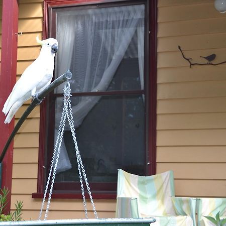 Lemonade Creek Cottages Lorne Bagian luar foto