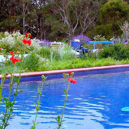 Lemonade Creek Cottages Lorne Bagian luar foto