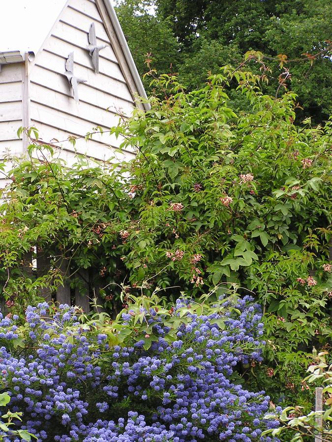 Lemonade Creek Cottages Lorne Bagian luar foto