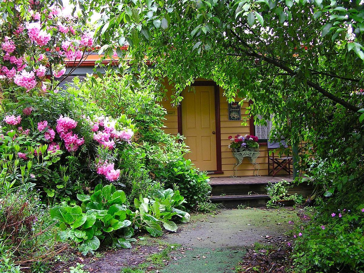 Lemonade Creek Cottages Lorne Bagian luar foto