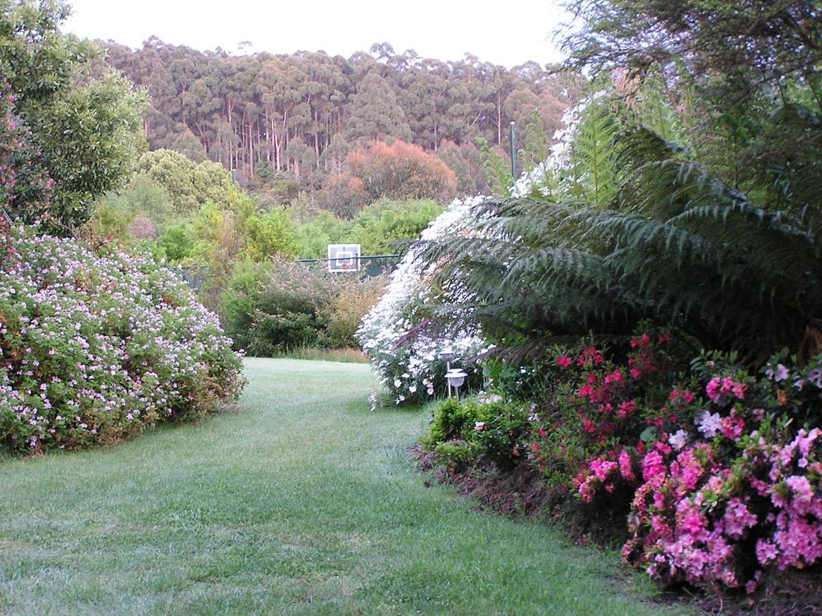 Lemonade Creek Cottages Lorne Bagian luar foto