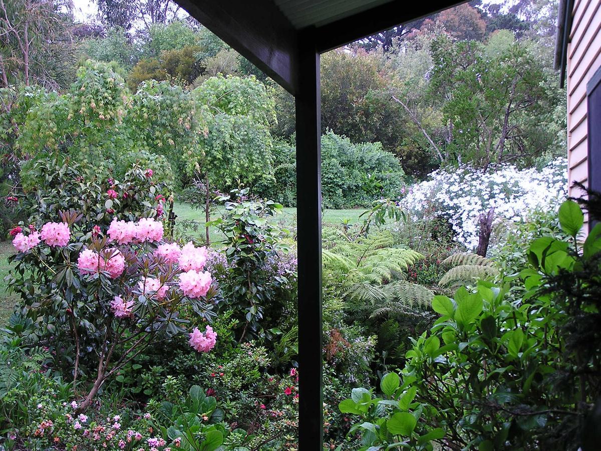 Lemonade Creek Cottages Lorne Bagian luar foto