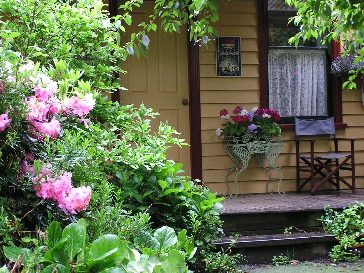 Lemonade Creek Cottages Lorne Bagian luar foto