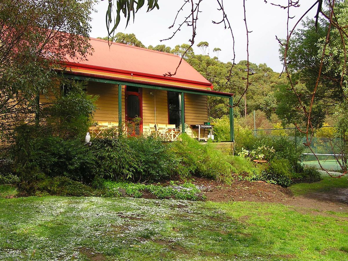 Lemonade Creek Cottages Lorne Bagian luar foto