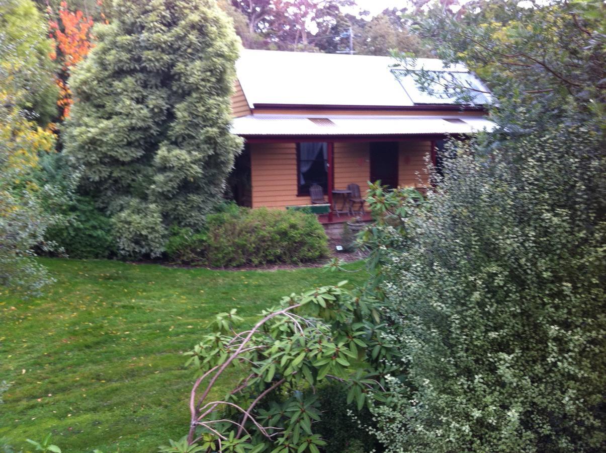 Lemonade Creek Cottages Lorne Bagian luar foto