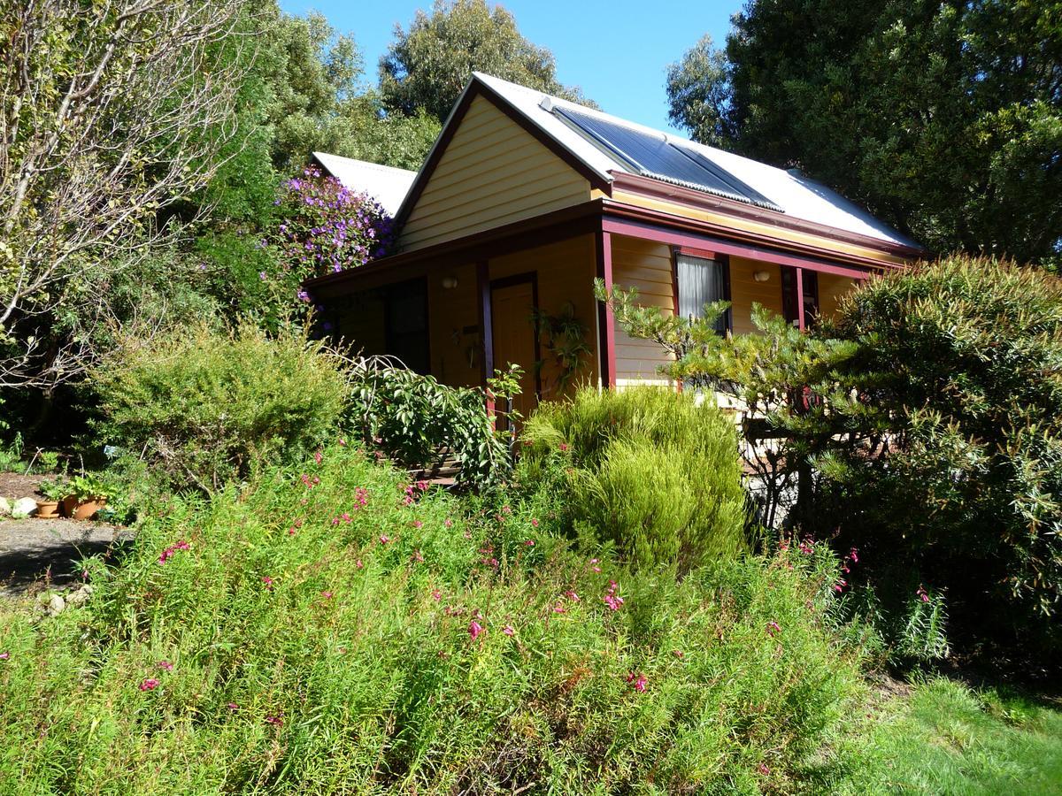 Lemonade Creek Cottages Lorne Bagian luar foto