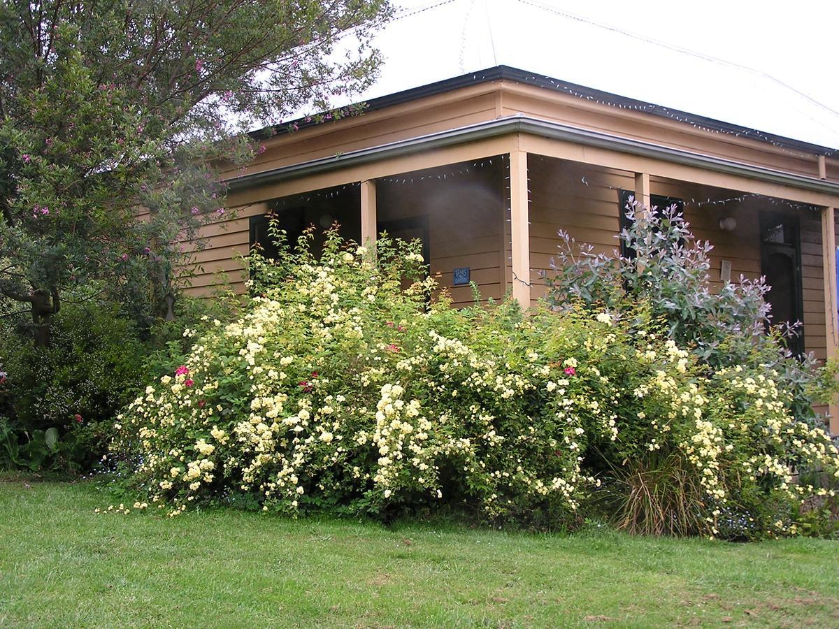 Lemonade Creek Cottages Lorne Bagian luar foto