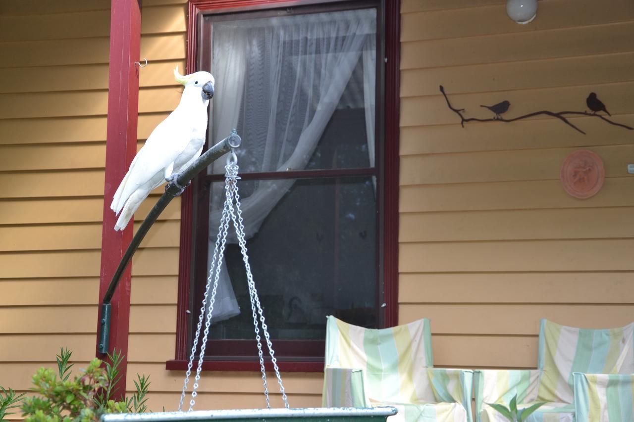 Lemonade Creek Cottages Lorne Bagian luar foto