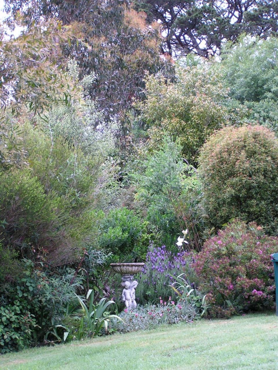 Lemonade Creek Cottages Lorne Bagian luar foto