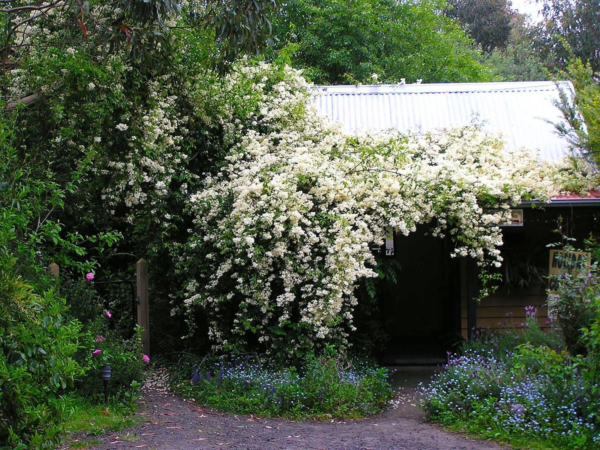 Lemonade Creek Cottages Lorne Bagian luar foto