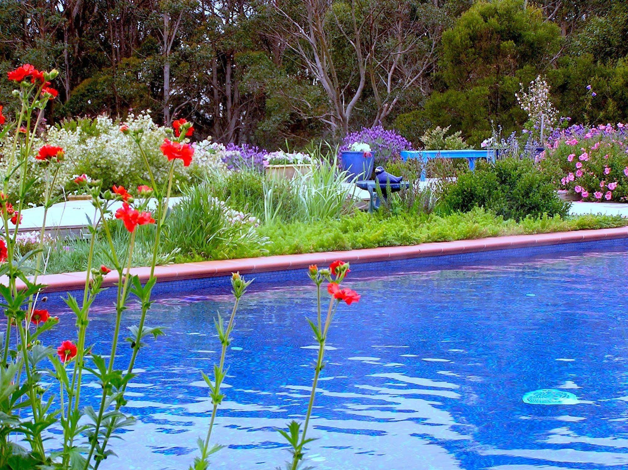 Lemonade Creek Cottages Lorne Bagian luar foto