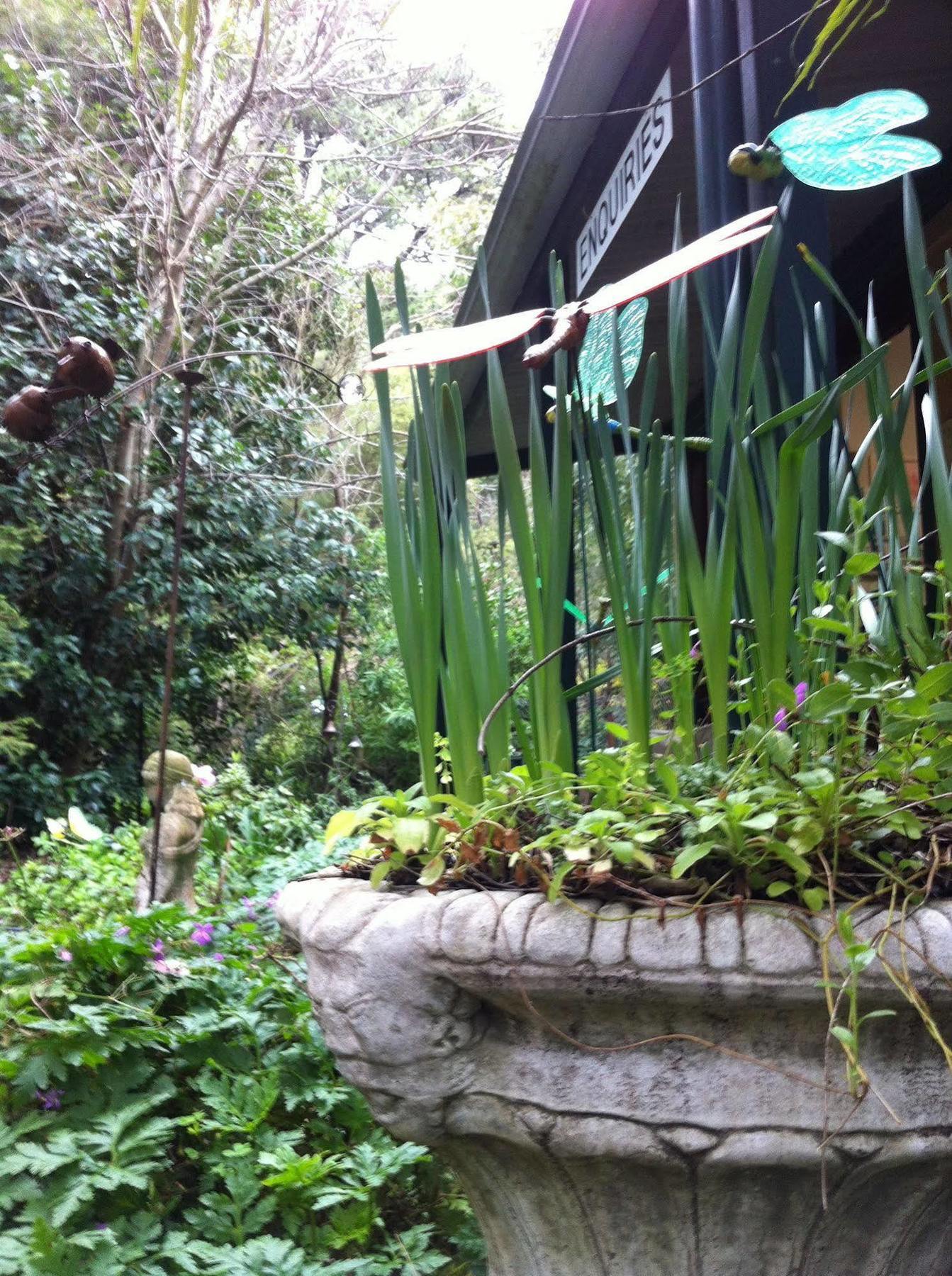 Lemonade Creek Cottages Lorne Bagian luar foto
