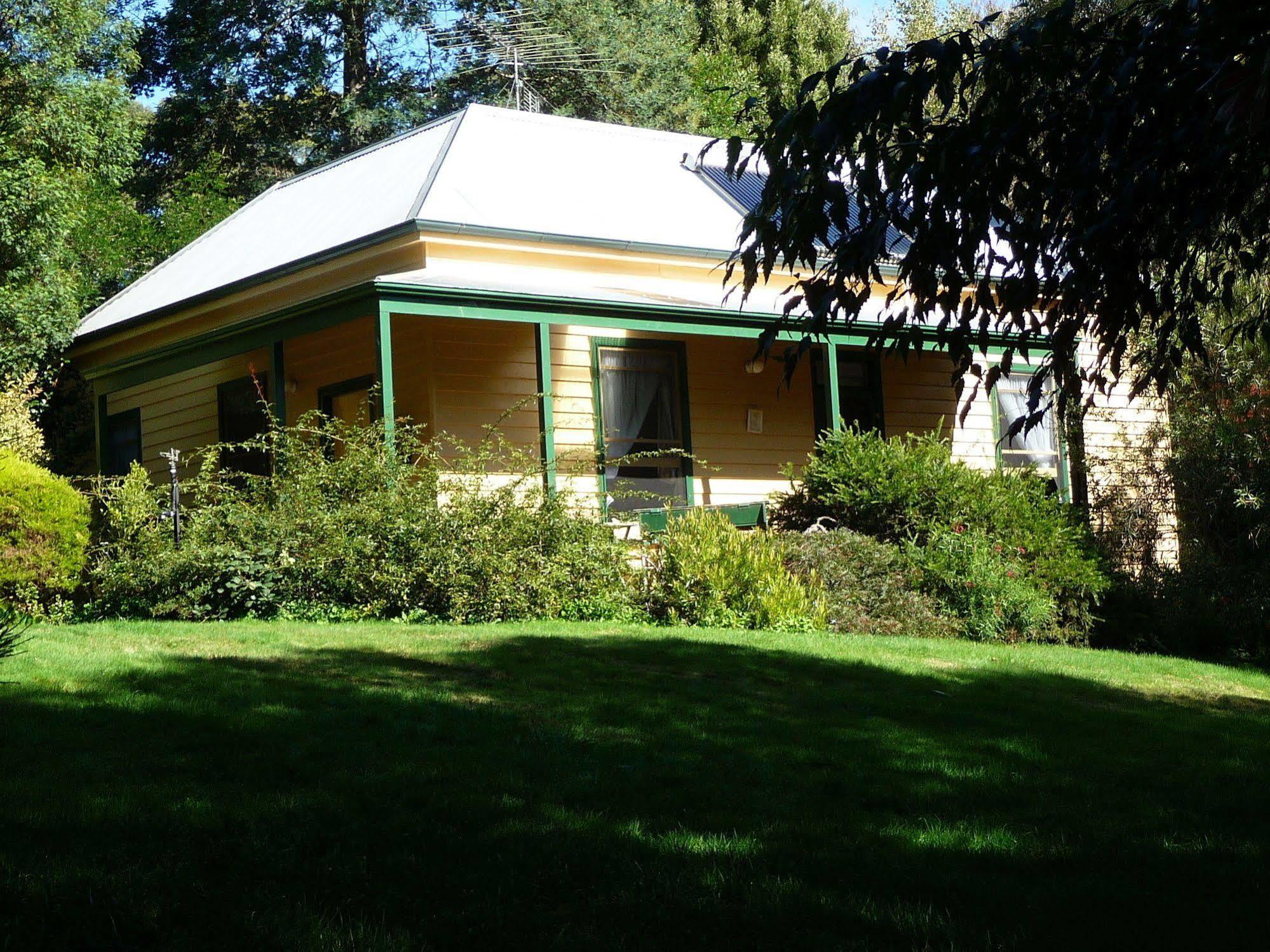 Lemonade Creek Cottages Lorne Bagian luar foto