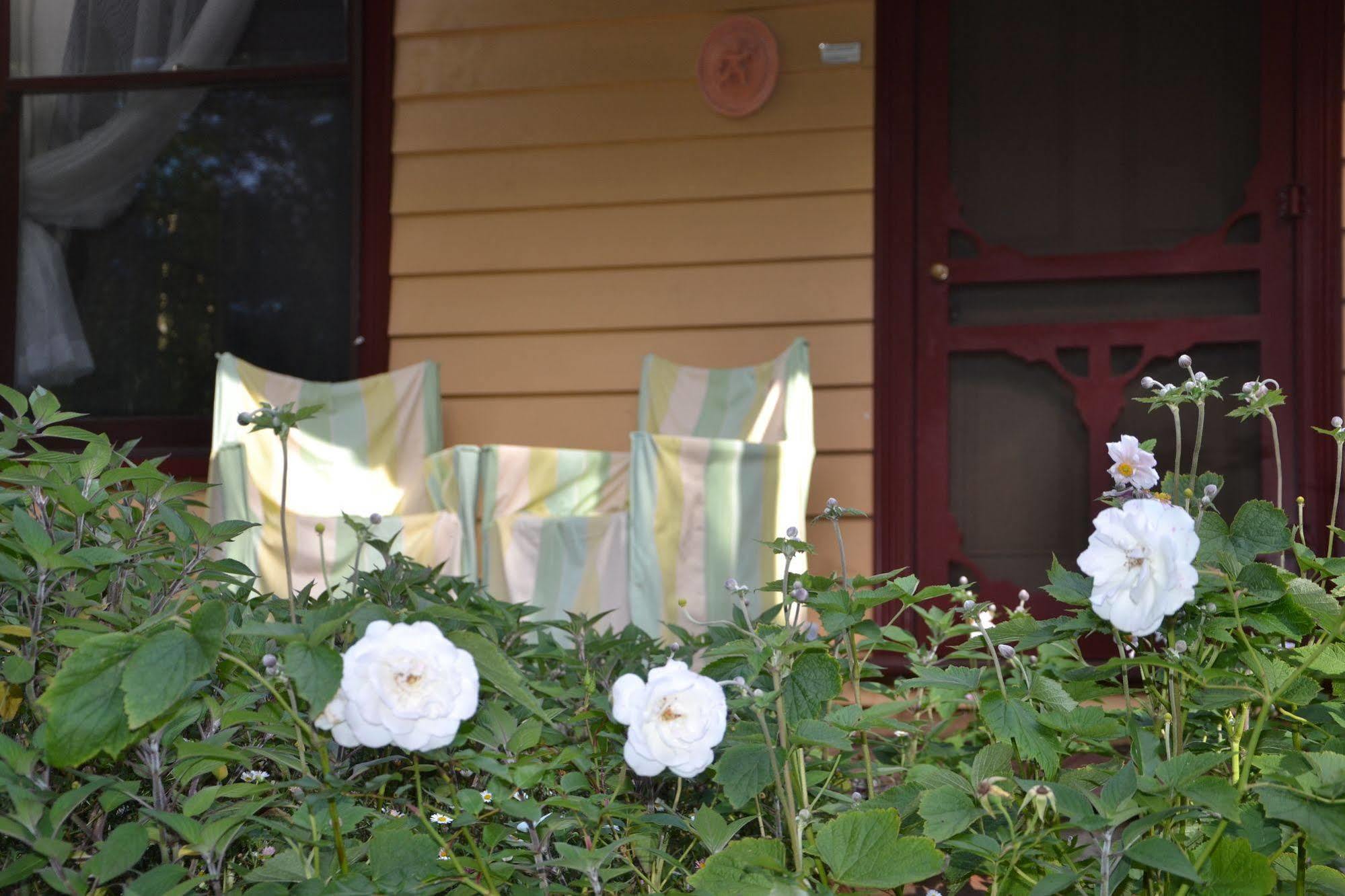 Lemonade Creek Cottages Lorne Bagian luar foto