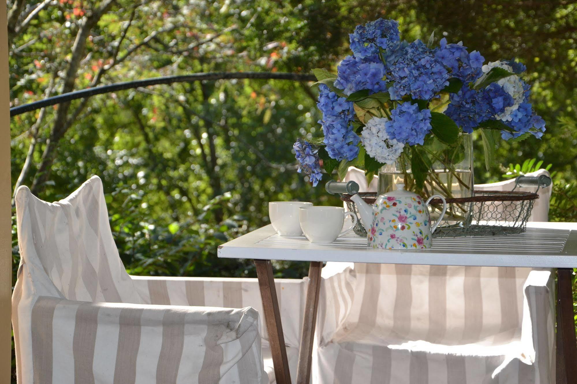Lemonade Creek Cottages Lorne Bagian luar foto